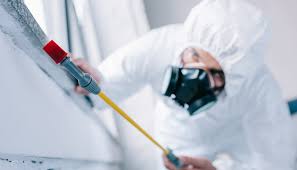 Real Estate Pest Inspections in Ashton Sandy Spring, MD